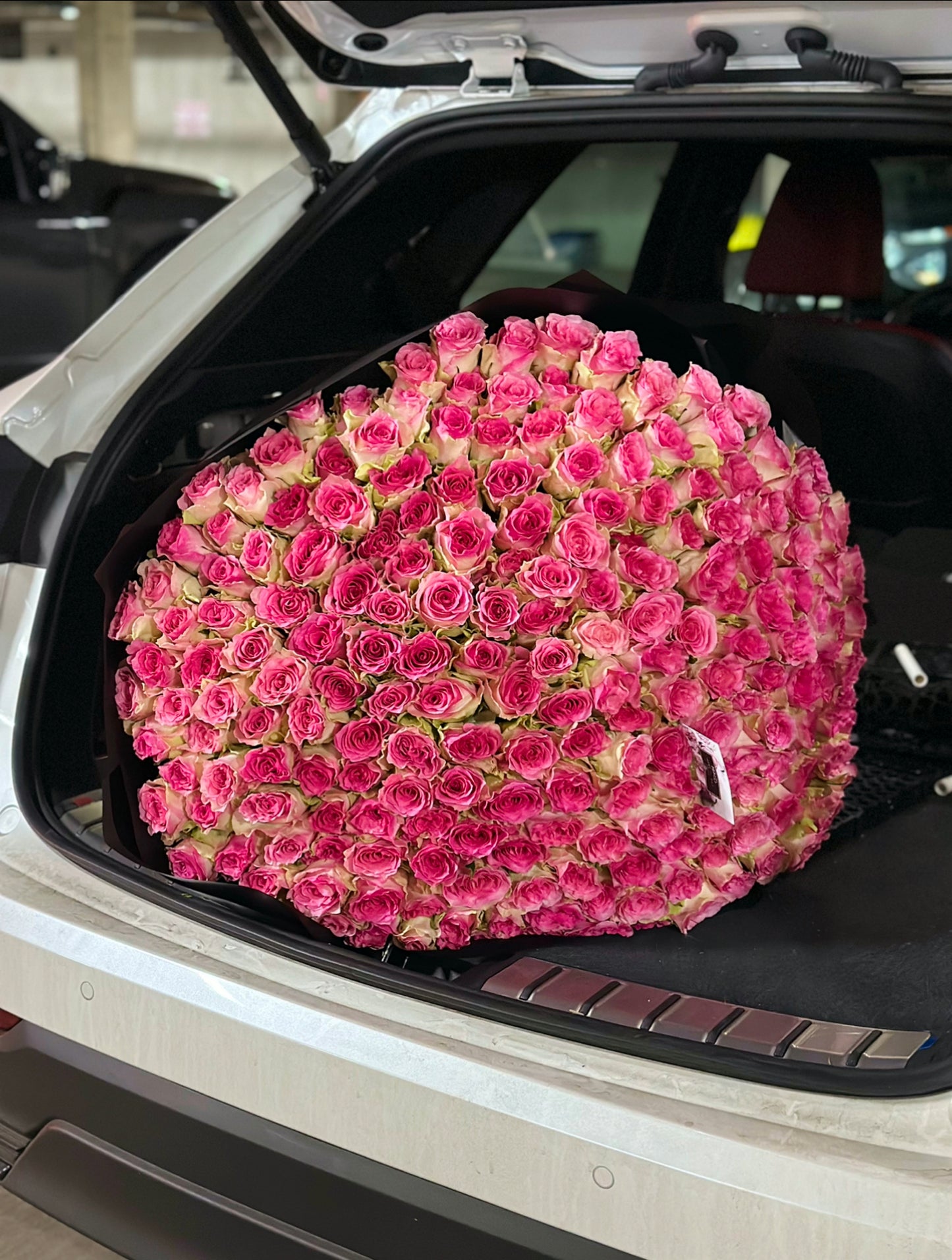 PINK EXPLOSION