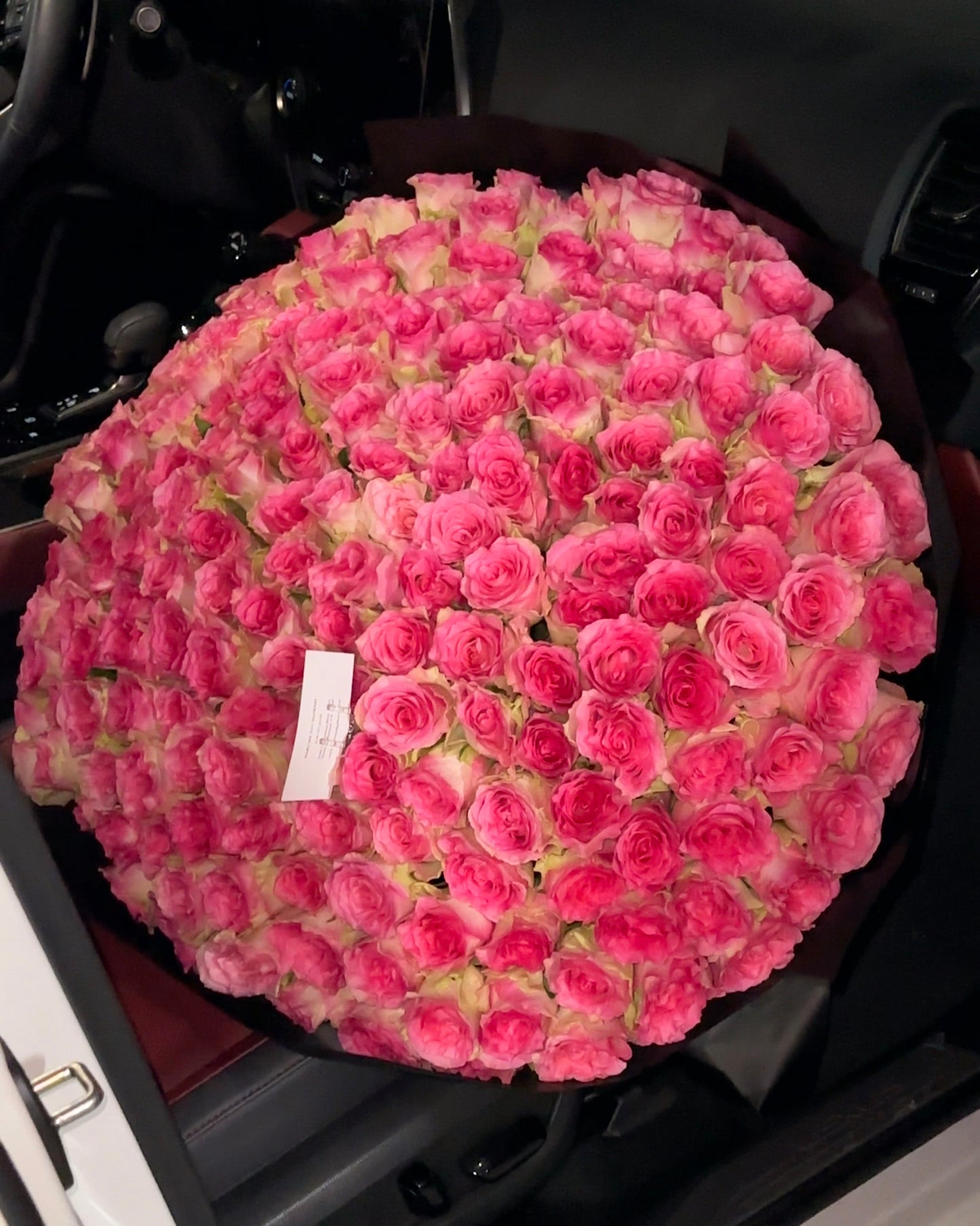 PINK EXPLOSION