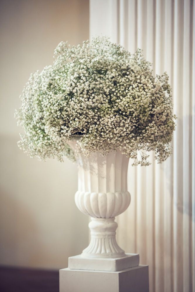 CENTERPIECE No. 6